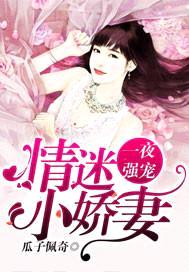 一夜强宠:情迷小娇妻