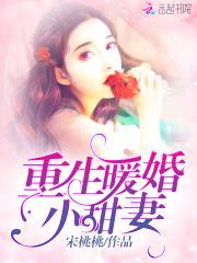 重生暖婚:大财阀的小甜妻