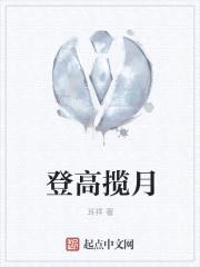 登高揽月