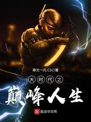 大时代之巅峰人生