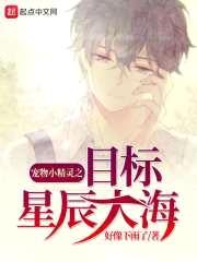 宠物小精灵之目标星辰大海