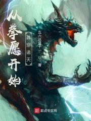 从拳愿开始莽穿诸天