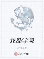 龙岛学院