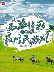 从西海情歌开始的最炫民族风