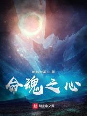 命魂之心