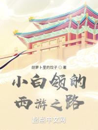 小白领的西游之路