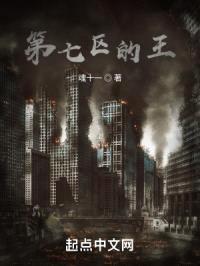 第七区的王