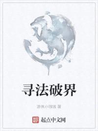 寻法破界