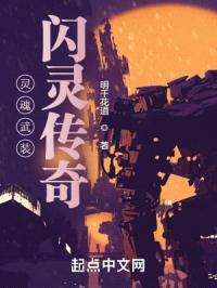 灵魂武装:闪灵传奇