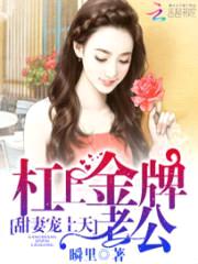 杠上金牌老公:甜妻宠上天