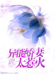 空间重生:异能娇妻太惹火